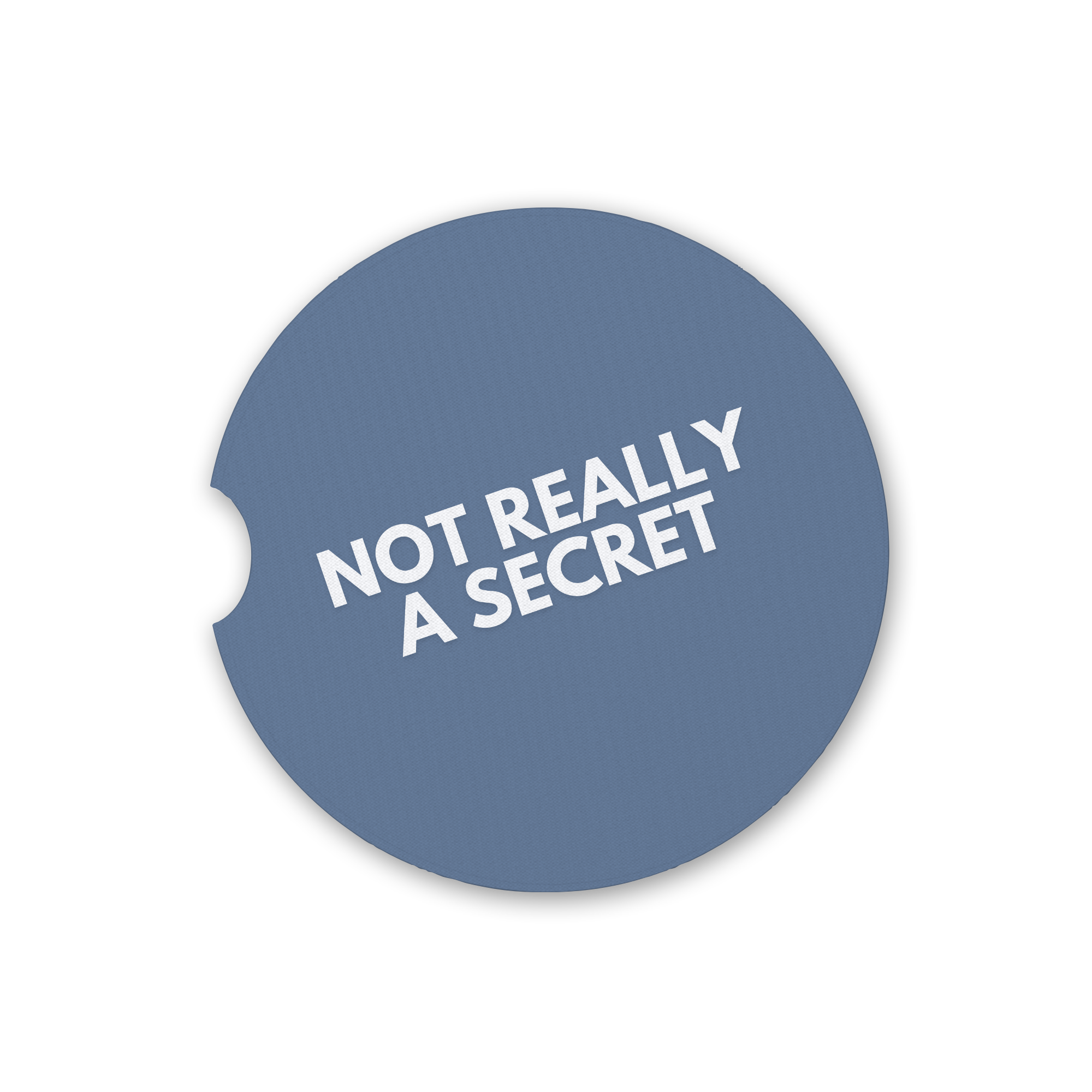 Not Really a Secret Cute Coasters